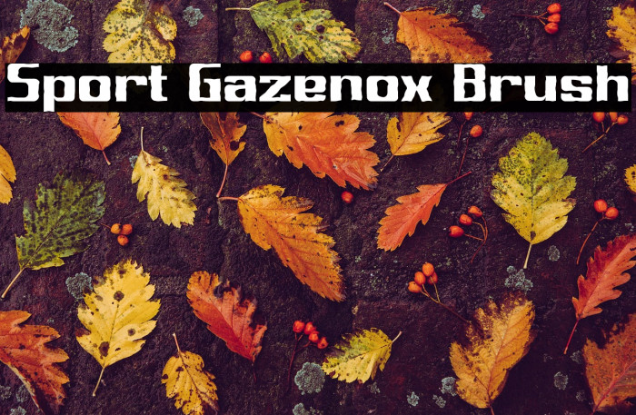 Sport Gazenox Brush Example 1