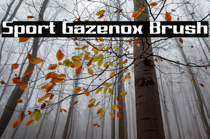 Sport Gazenox Brush Example 2