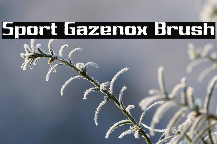 Sport Gazenox Brush Example 3