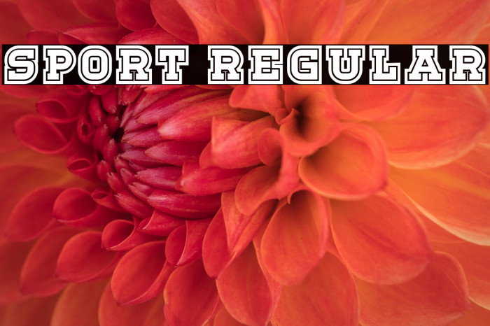 Sport Regular Example 1