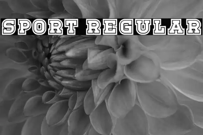 Sport Regular Font examples