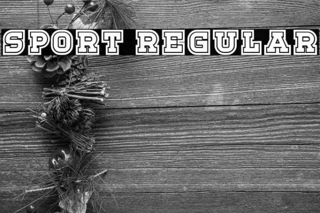 Sport Regular Font examples