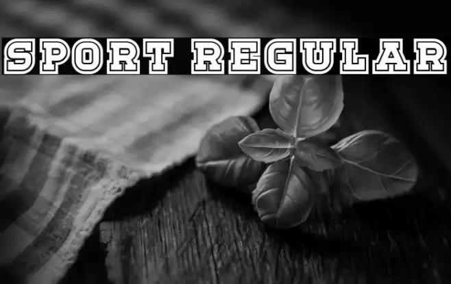 Sport Regular Font examples