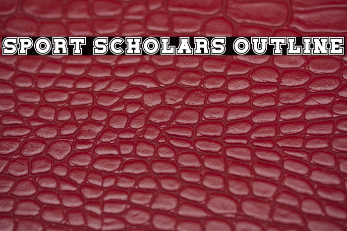 Sport Scholars Outline Example 1