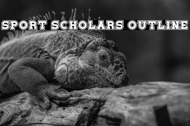 Sport Scholars Outline 字体 examples