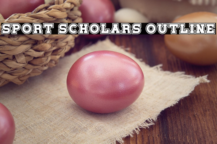 Sport Scholars Outline Example 3