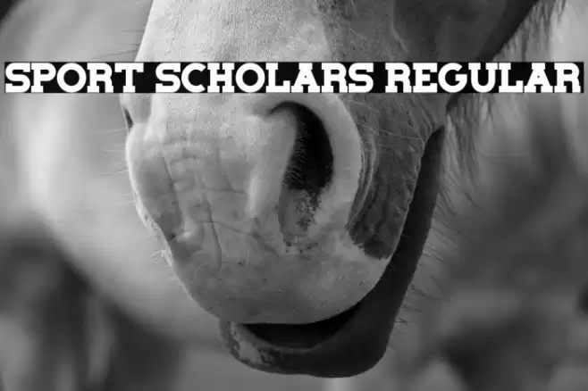 Sport Scholars Regular 字体 examples