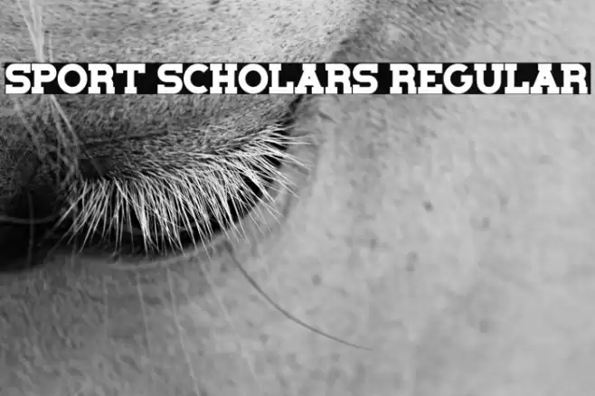 Sport Scholars Regular 字体 examples