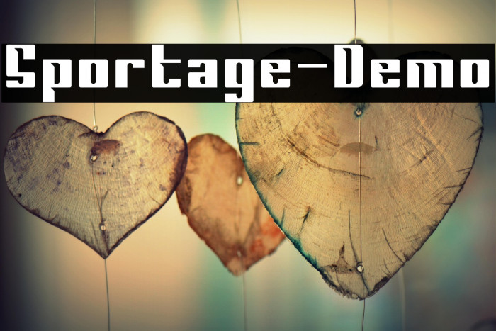 Sportage-Demo Example 3