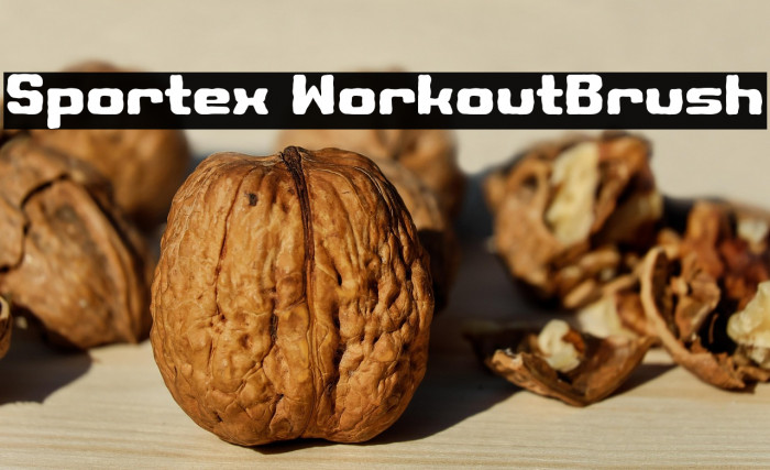 Sportex WorkoutBrush Example 2