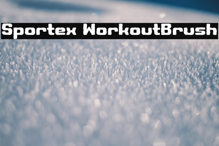 Sportex WorkoutBrush Example 3