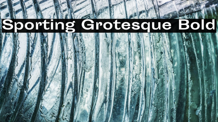 Sporting Grotesque Bold Example 2