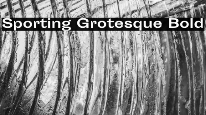 Sporting Grotesque Bold Font examples