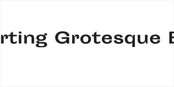 Sporting Grotesque Bold Logo