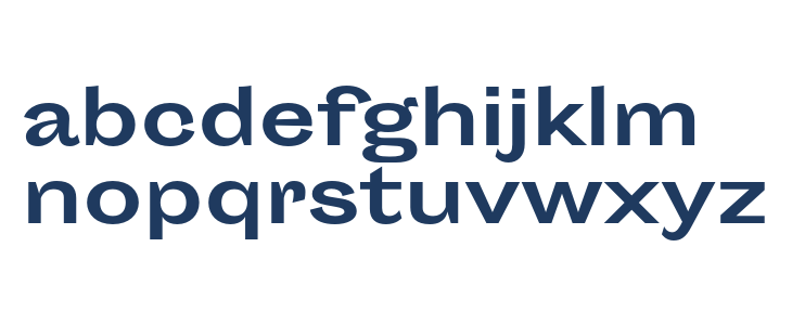 Sporting Grotesque Bold Lowercase