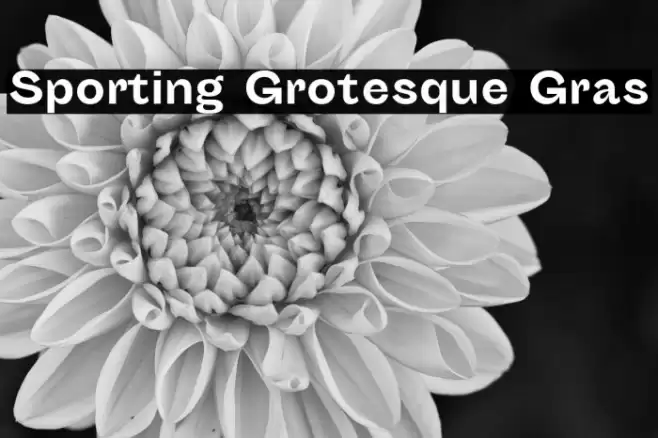 Sporting Grotesque Gras Font examples