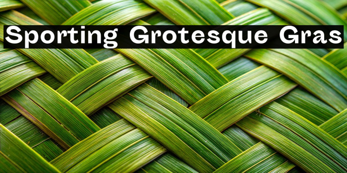 Sporting Grotesque Gras Example 2