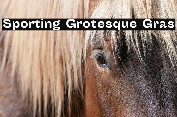 Sporting Grotesque Gras Example 3