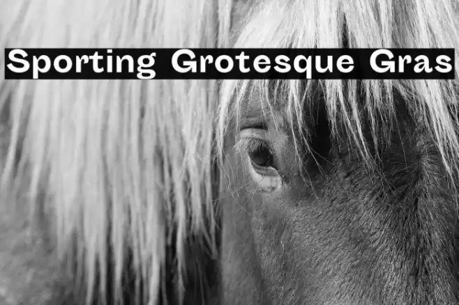 Sporting Grotesque Gras Font examples