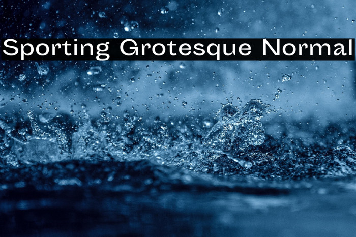 Sporting Grotesque Normal Example 2