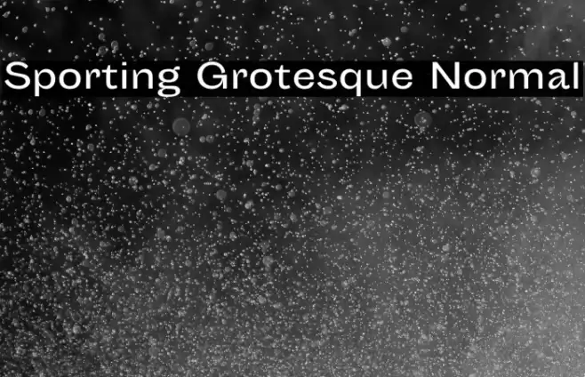 Sporting Grotesque Normal Font examples