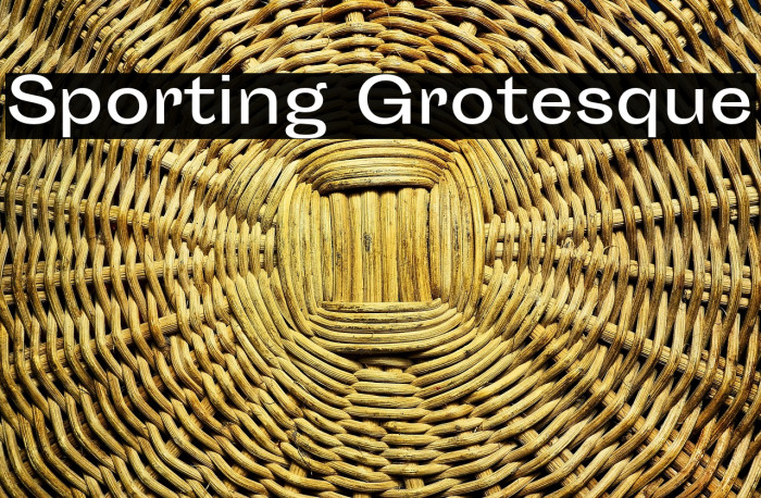 Sporting Grotesque Example 3