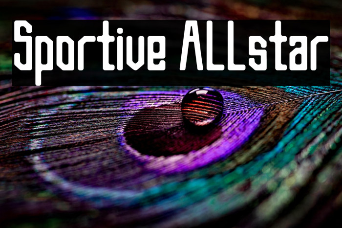 Sportive Allstar Example 1