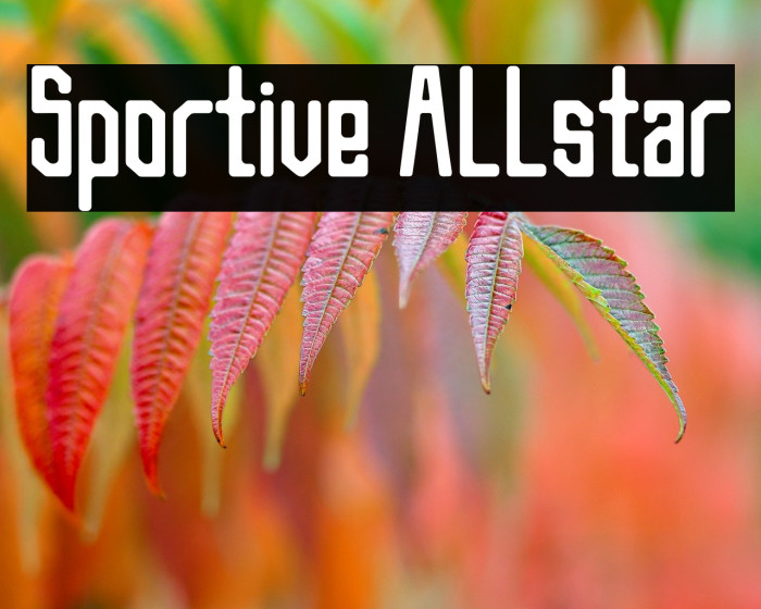 Sportive Allstar Example 2