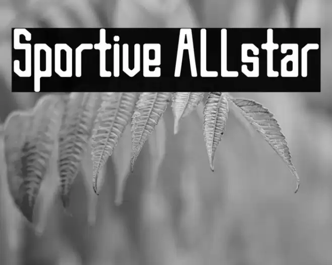 Sportive Allstar Fuentes examples