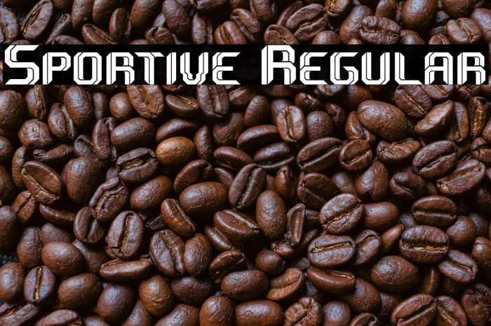 Sportive Regular Example 3