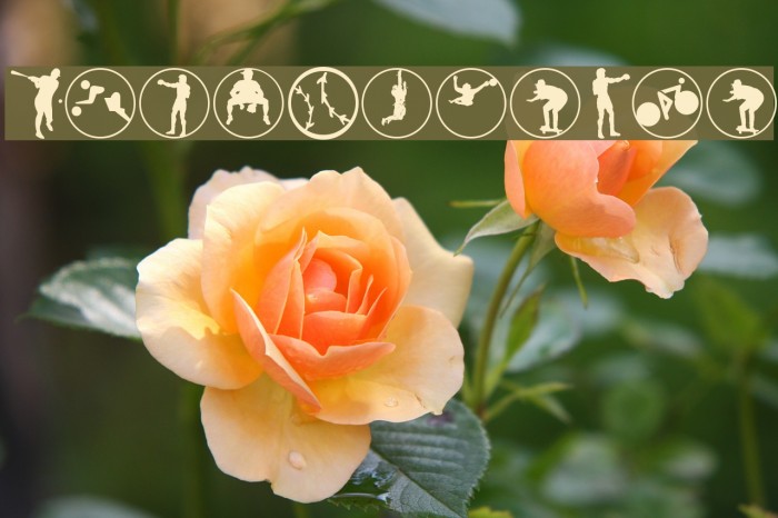 SportiveOne Font examples