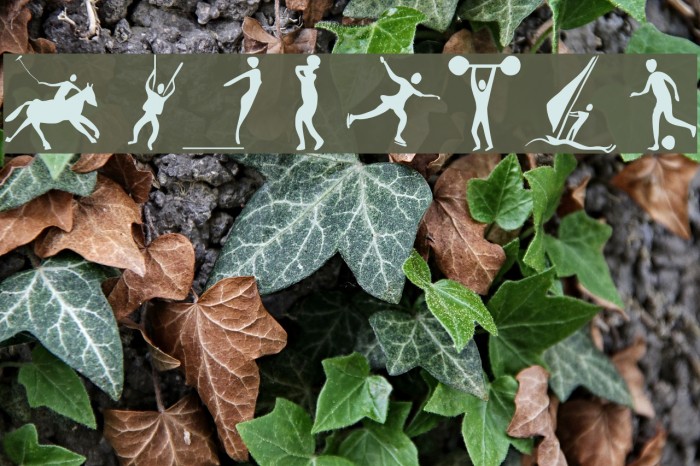 Sportive Font examples