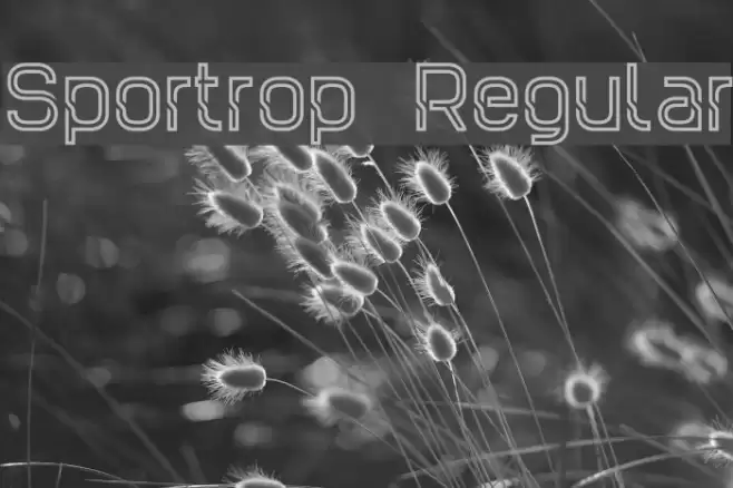 Sportrop Regular Font examples