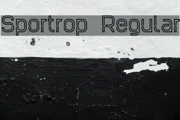 Sportrop Regular Example 3