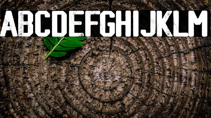 Sports Bar Example 1