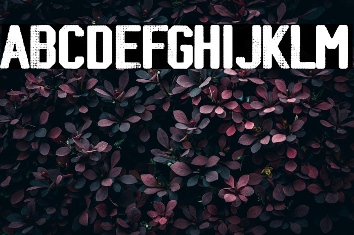 Sports Bar Example 2