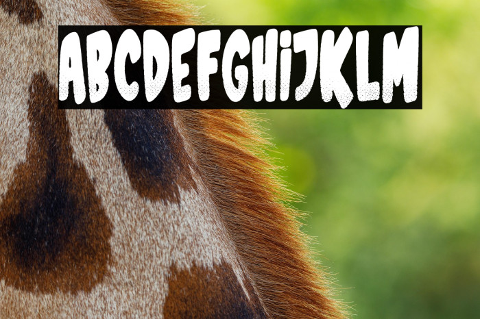 Sports Magazine Example 1