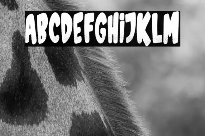 Sports Magazine फ़ॉन्ट examples