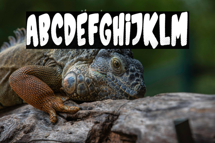 Sports Magazine Example 2