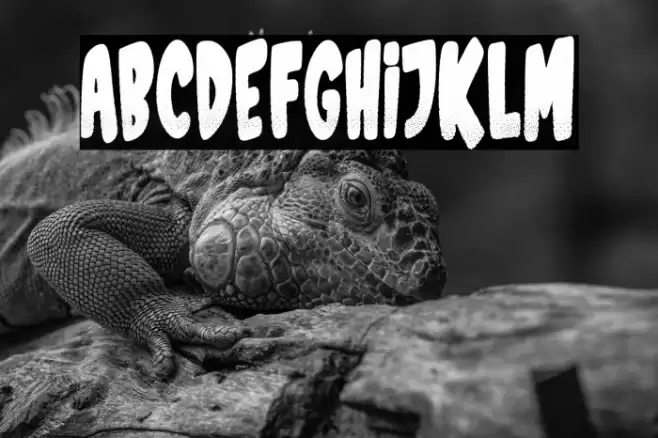 Sports Magazine फ़ॉन्ट examples