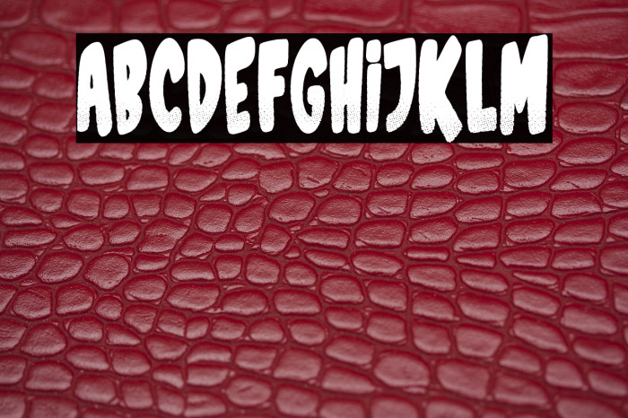 Sports Magazine Example 3