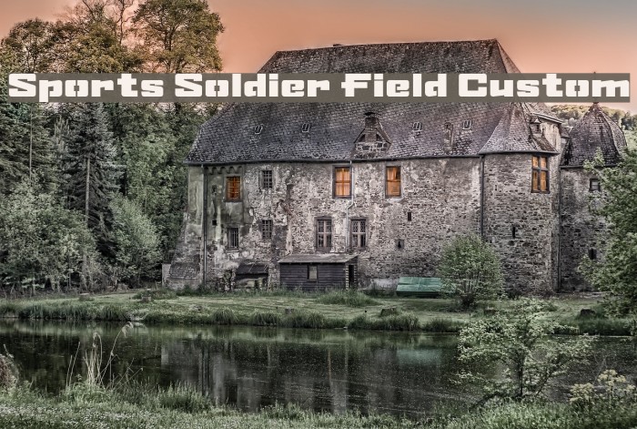 Sports Soldier Field Custom Font examples