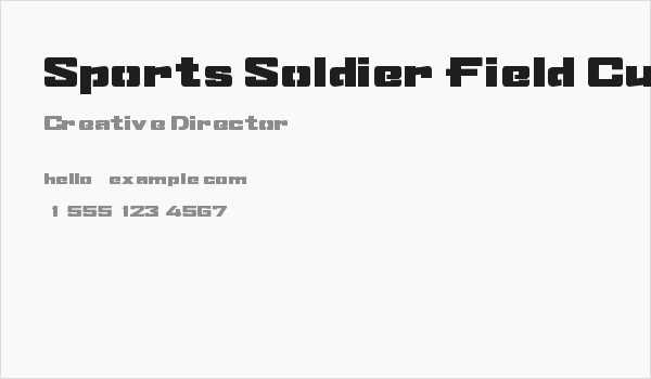 Sports Soldier Field Custom Business Card