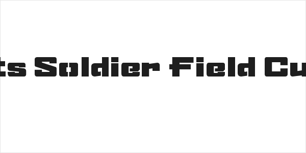 Sports Soldier Field Custom Logo
