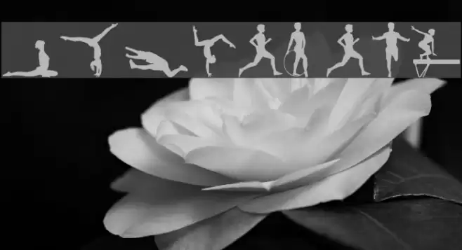 Sports tfb Font examples