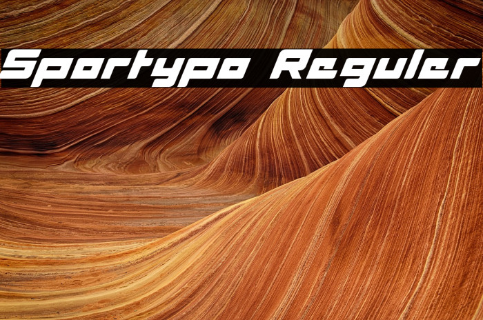 Sportypo Reguler Example 1