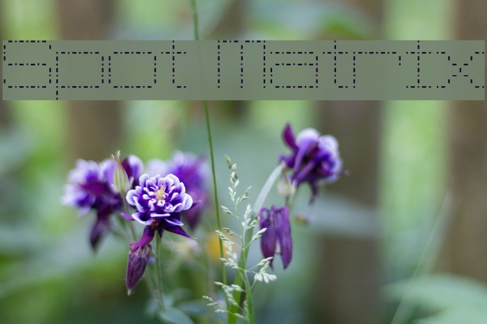 Spot Matrix Font examples