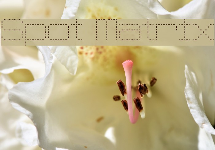 Spot Matrix Font examples