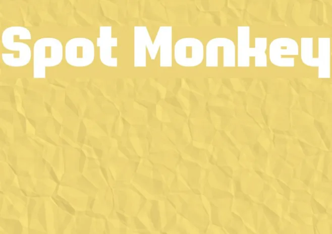 Spot Monkey Example 1