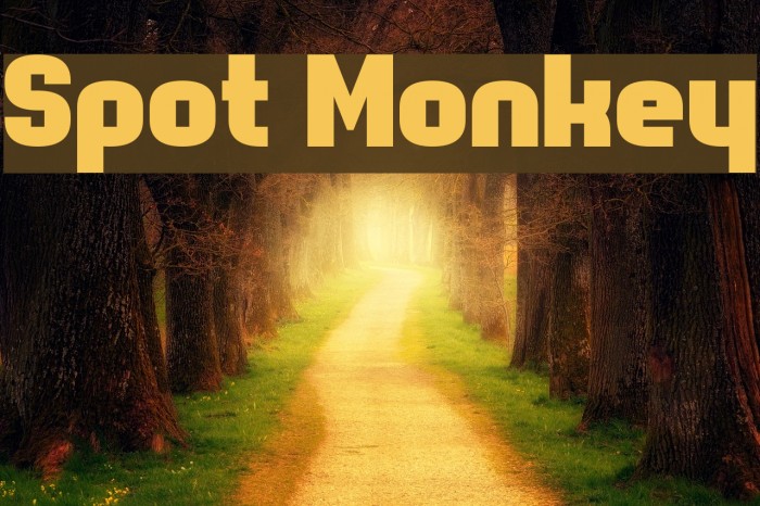 Spot Monkey Font examples